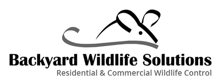 Backyard Wildlife Solutions - Residential & Commercial Wildlife Control