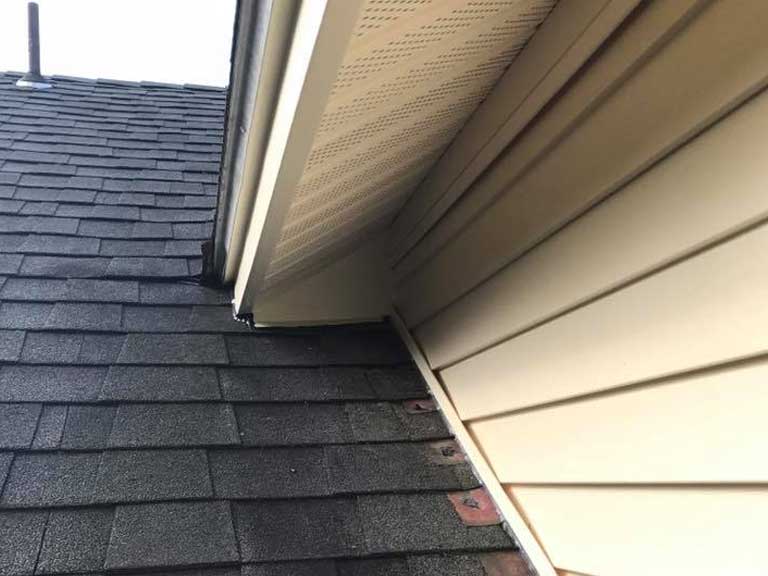 hershey animal removal repaired roof